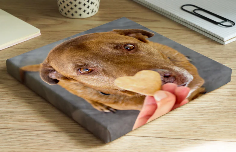 Pet Foto Leinwanddrucke