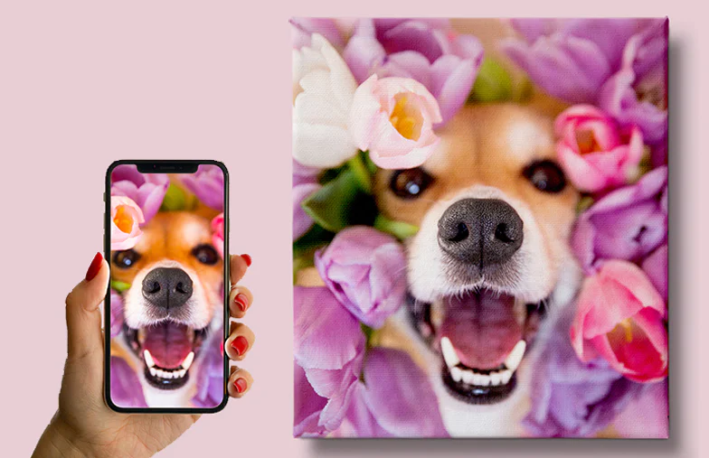Pet Foto Leinwanddrucke