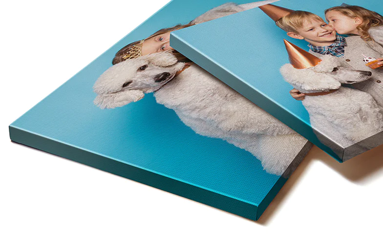 Pet Foto Leinwanddrucke