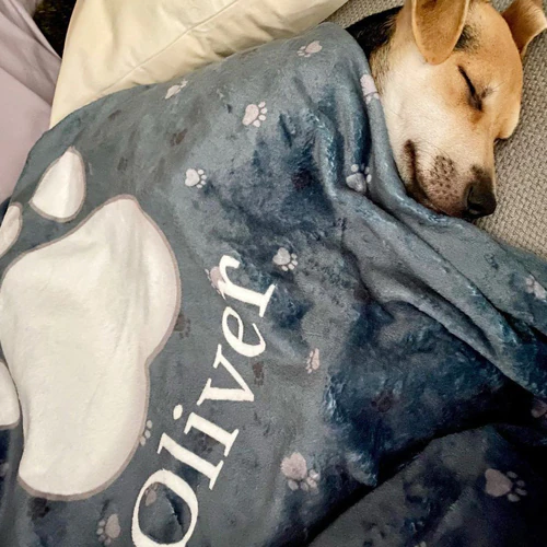 User Generated Content User Reviews