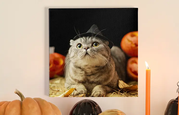 ["Personalised photo canvas prints by Printerpix","Collage canvas print of two cheerful friends","Canvas print sizes","Mother lovingly kissing her young son on a canvas print","Gallery wall with canvas prints","Canvas print of a couple enjoying their holiday","","","","",""]||||||||||