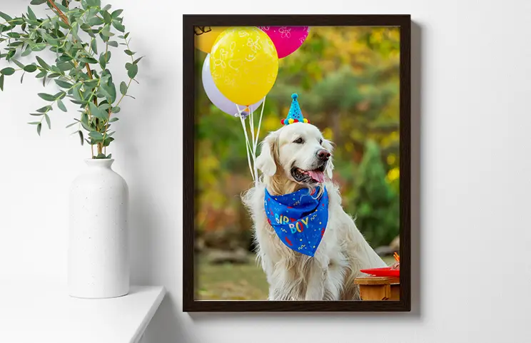 ["Framed Photo Prints by Printerpix","","","","","","","","",""]||||||||||