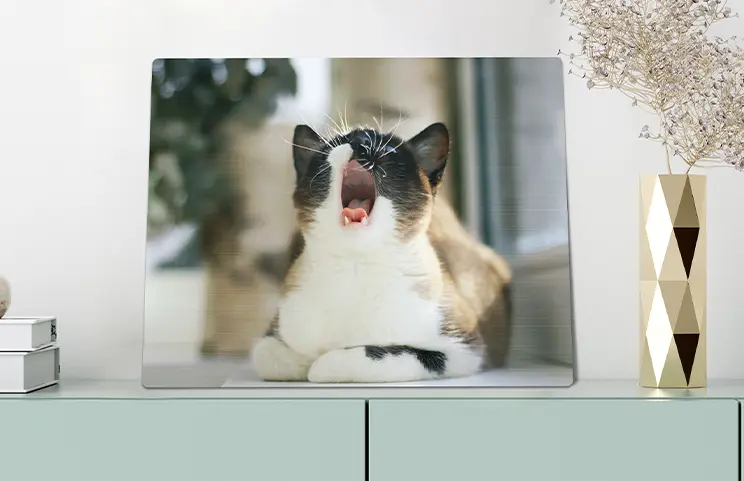 Metal Photo Print by Printerpix|Aluminium photo print of a mountain and lake, held by a woman, made by Printerpix|Small square metal print of a man diving into a lake|Metal photo print of mother and daughter on a bookshelf|Woman placing metal photo print of friend and boyfriend on the wall|Three metal photo prints in various sizes|||||