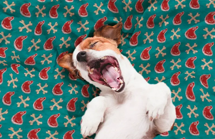 |Personalised fleece blanket on the sofa|||||||||