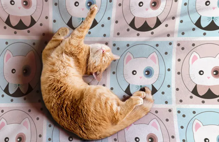 ["Personalized Cat Blanket", "", "", "", "", "", "", "", "", ""]||||||||||