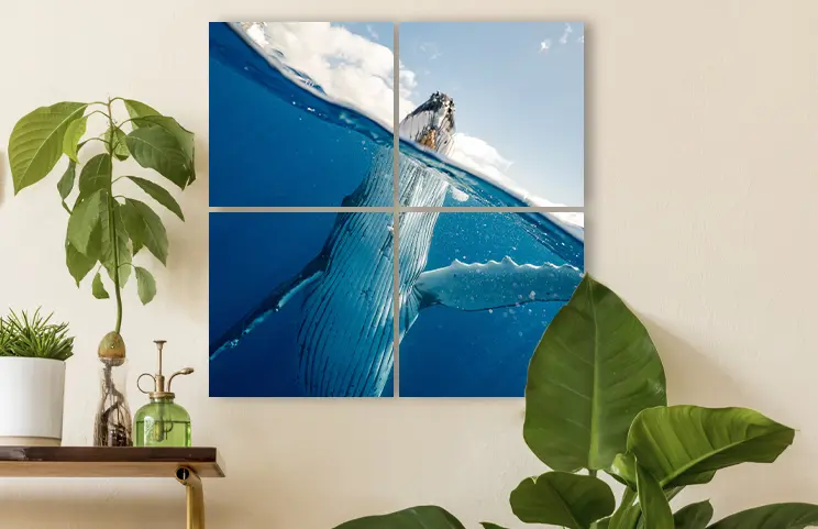 ["Photo Tiles","","","","","","","","","",""]||||||||||