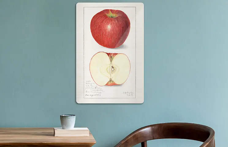 Metal photo print by Printerpix|Aluminium photo print of a mountain and lake, held by a woman, made by Printerpix|Small square metal print of a man diving into a lake|Metal photo print of mother and daughter on a bookshelf|Woman placing metal print of girlfriend and boyfriend on the wall|Three metal photo prints in different sizes|||||