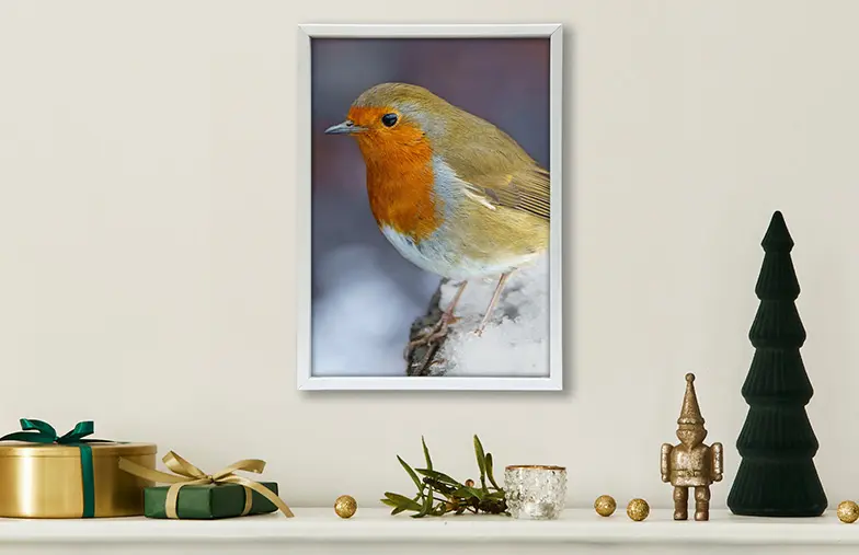 ["Framed Photo Prints by Printerpix","","","","","","","","",""]||||||||||