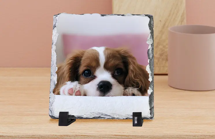 ["Stone-Foto-Stein","Stone-Platte mit Familienfoto","Seitenansicht der Stone-Platte mit Baby, Mama und Papa","Zwei junge Menschen auf einem Stone gedruckt","Personalisierter Geschenkstein mit gedrucktem Bild","","","","",""]||||||||||