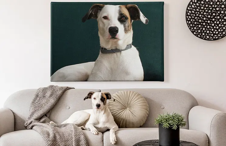 ["Personalised photo canvas prints by Printerpix", "Collage canvas print of two happy friends", "Canvas print sizes", "Mother lovingly kissing her young son on a canvas print", "Gallery wall with canvas prints", "Canvas print of a couple enjoying their holiday", "", "", "", "", ""]||||||||||