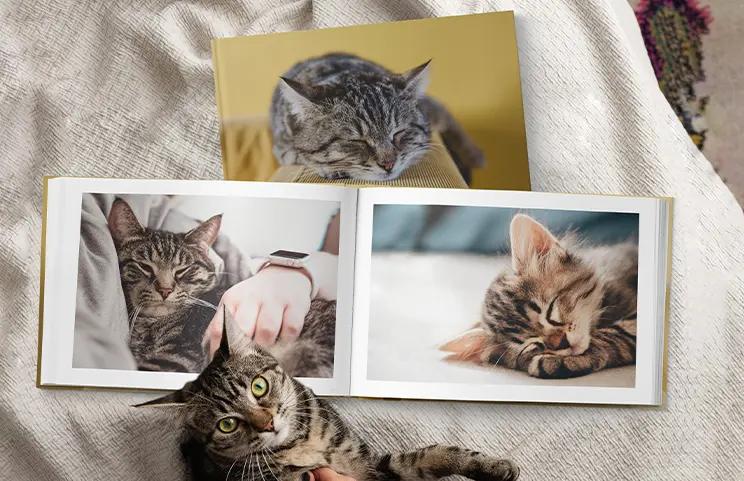 ["Hardcover Personalised Photo Book by Printerpix", "Individually printed Printerpix photo album with hardcover and large photos of an elderly couple", "Personalised photo album with romantic images of a couple and photo cover", "Family photo album with customised cover and family name", "Pet and woman looking at personalised family photo book with individual design", "Two people looking at a Printerpix photo book with wedding photos and the bride", "", "", "", ""]||||||||||