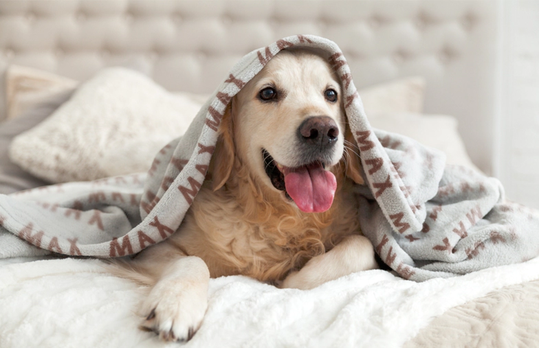 Große Fotodecke für Doppelbett mit Bild eines Mädchens