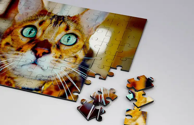 Wooden Puzzle of a Cat