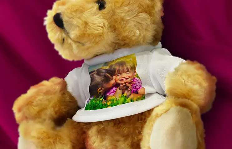 Teddy Bear Close-up