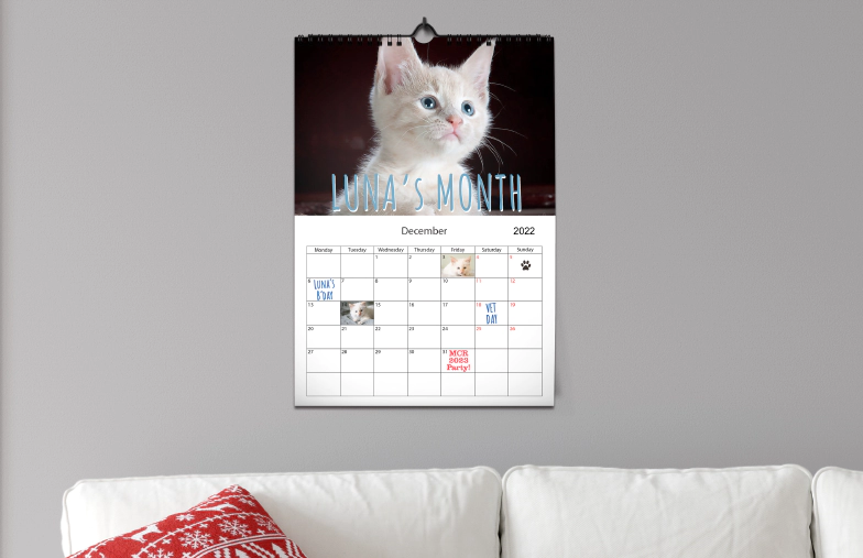 A3 2020 wall calendar with personalized photo design from Printerpix hanging