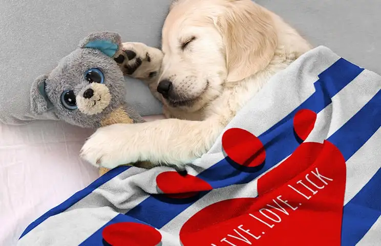 Puppy in bed with personalised dog blanket with custom text design