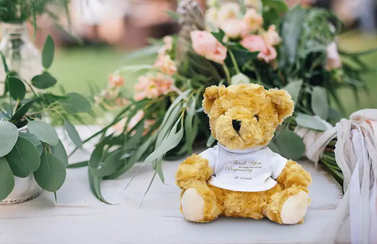 Teddy Bear Outdoors
