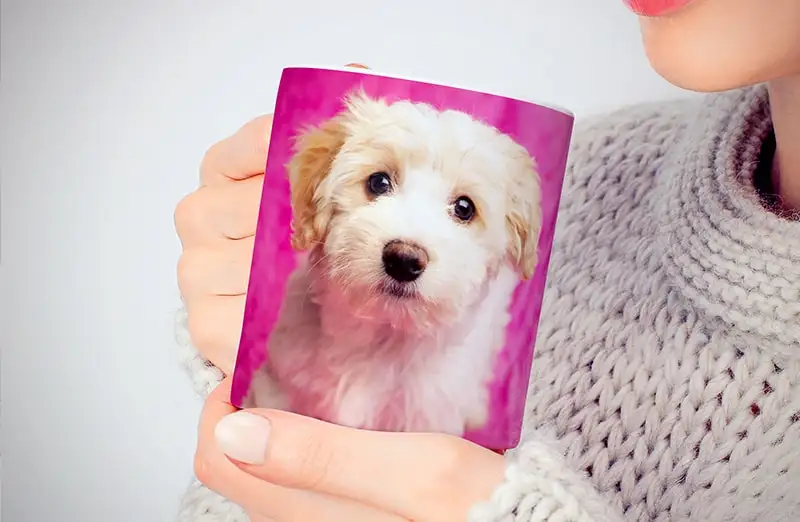Hand Holding Mug