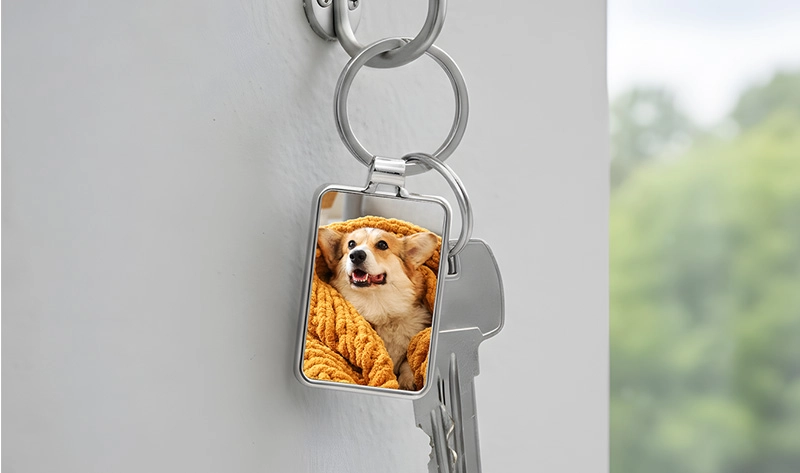 Einfache Online-Erstellung