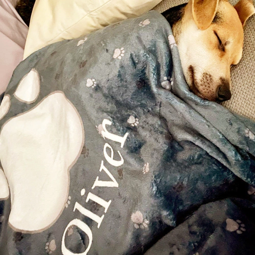 Ich war angenehm überrascht, wie sehr mein Hund es liebt, von seiner Decke zugedeckt zu werden. Die Qualität ist so gut, und das Material ist unglaublich weich. Fantastischer Service.